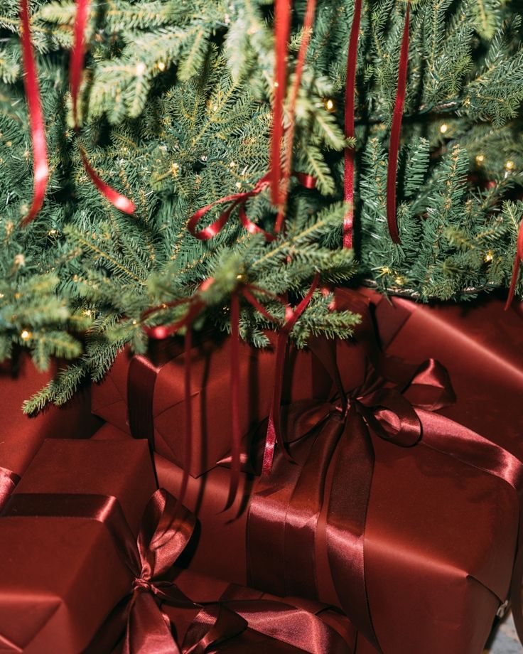 Holiday Gift Guide