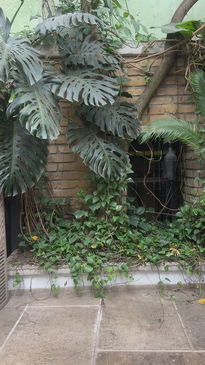 Habitantes
